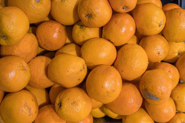 Fresh Produce